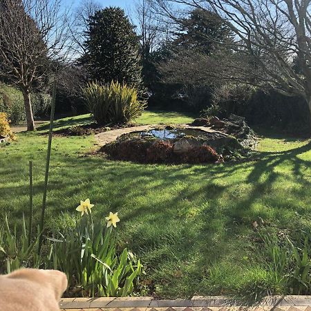 Hartree Guest House Newton Abbot Εξωτερικό φωτογραφία