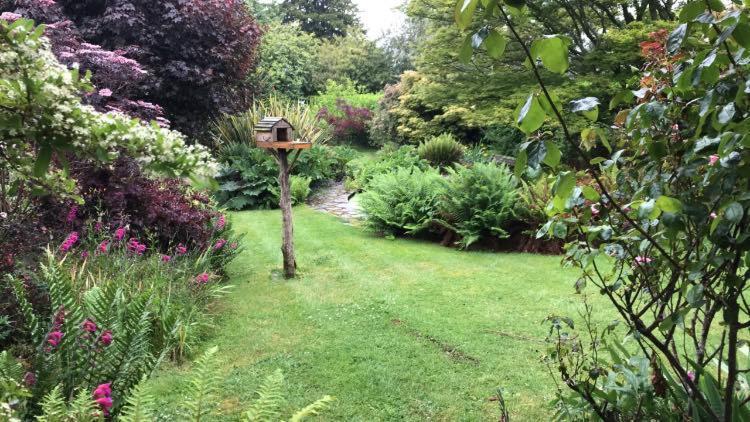Hartree Guest House Newton Abbot Εξωτερικό φωτογραφία