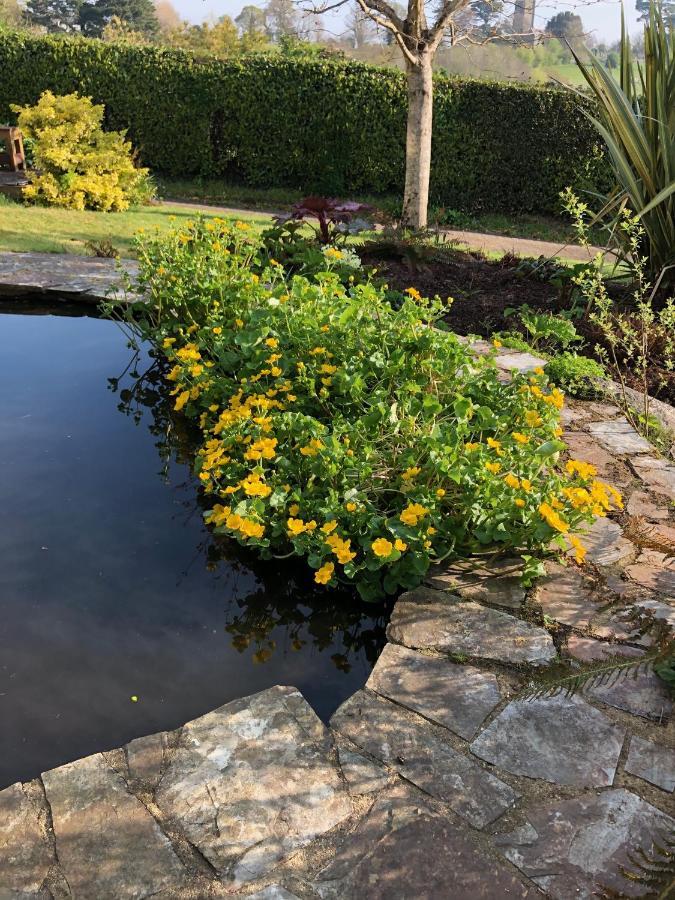 Hartree Guest House Newton Abbot Εξωτερικό φωτογραφία