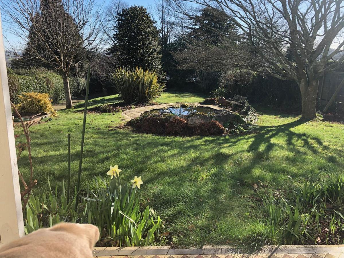 Hartree Guest House Newton Abbot Εξωτερικό φωτογραφία